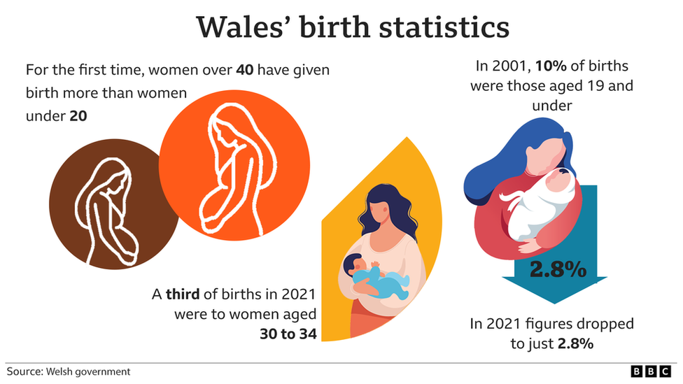 Birth statistics graphic