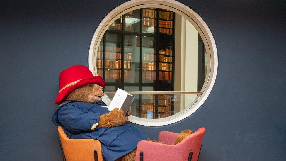 Paddington Bear