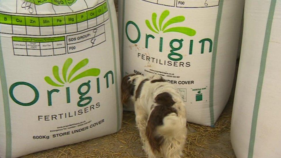 A dog sniffs the big bags of fertiliser