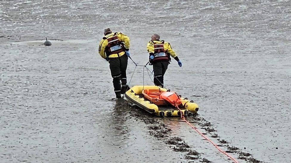 Crew members going to the aid of the stranded porpoise