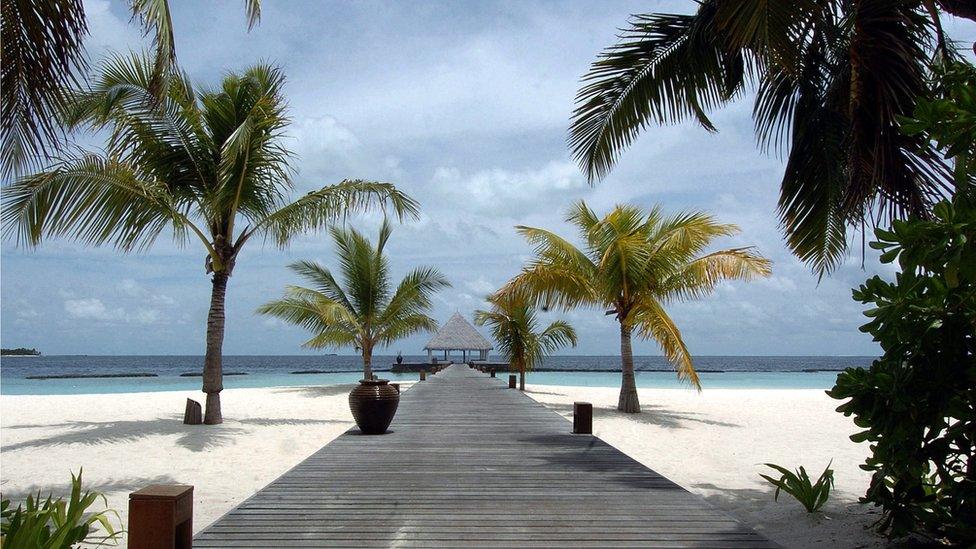 Palm trees and a wooden walkway at the Coco Palm resort on Boduhithi Island, in the Maldives.