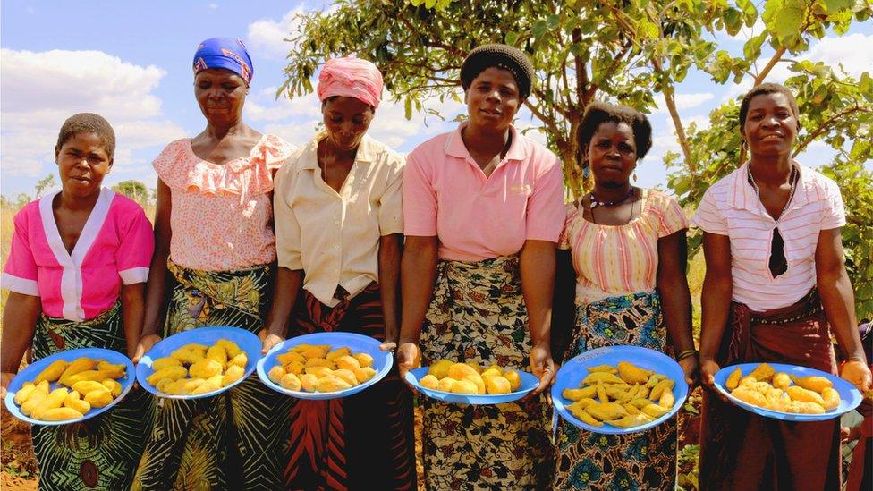 Women carrying sweet potatoes (Image: S.Quinn/CIP)