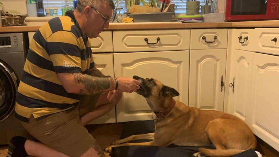 Man with stripy shirt taking ball from a dog's mouth