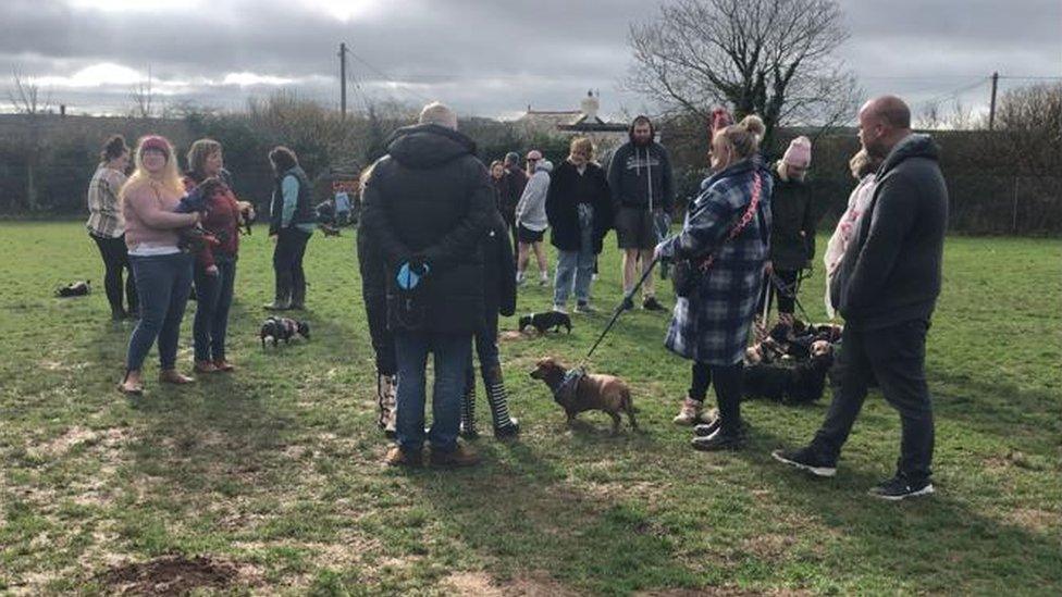 Dachshunds and owners