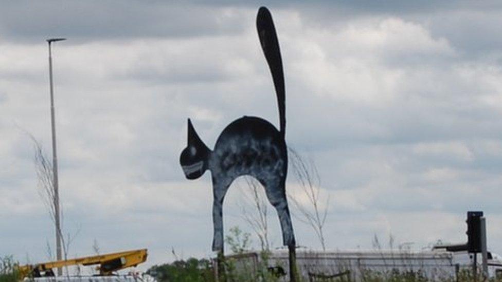 White splashed black cat on roundabout