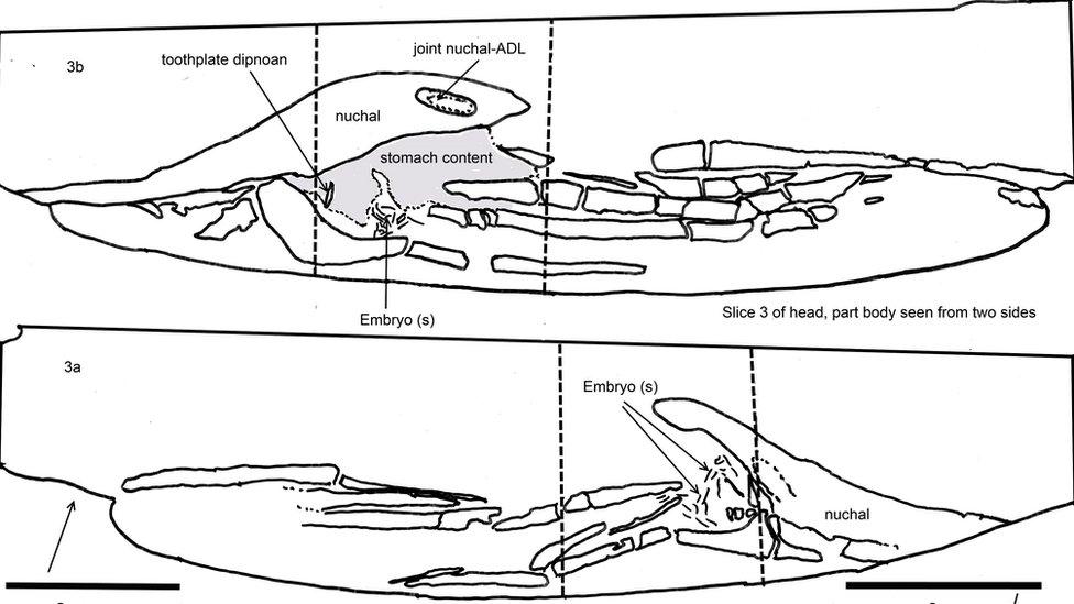 Schematic drawings