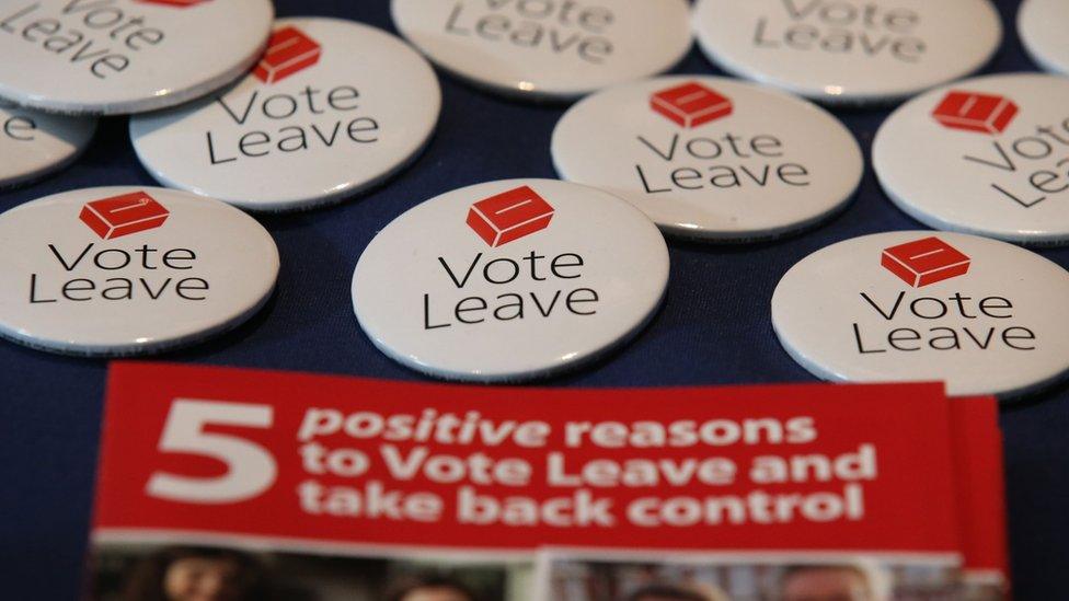 Vote Leave badges