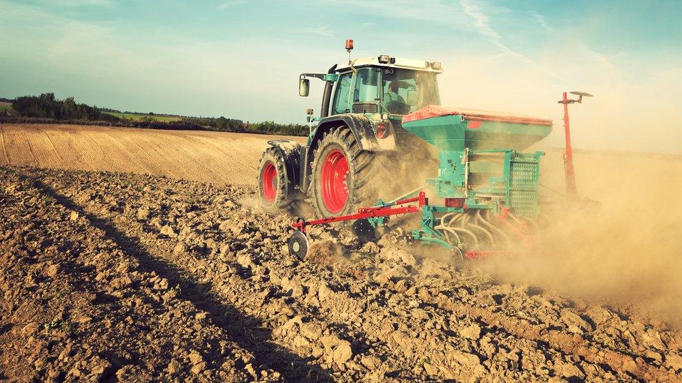 A tractor plouging a field