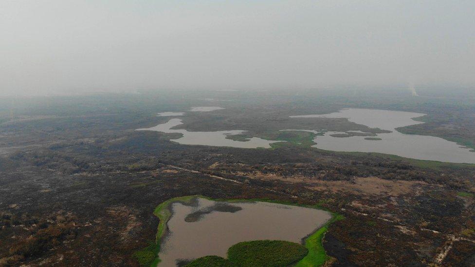 Overview of the Pantanal wetland after the wildfire. Notice the smoke covering the entering region