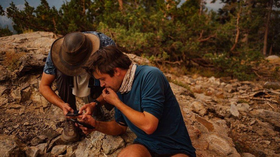 Hikers plot their route out of a California widlfire