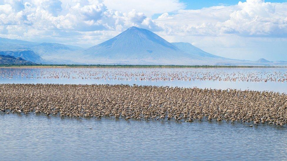 Lake Natron, Tanzania