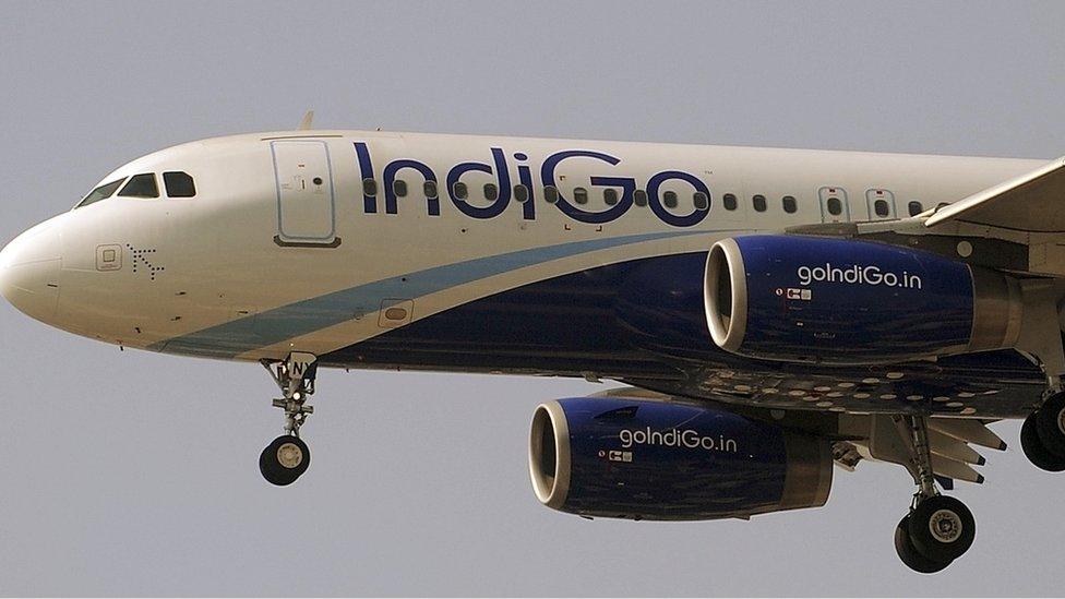 Indigo