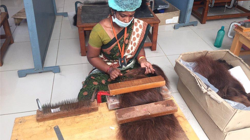 Shaven hair being sorted