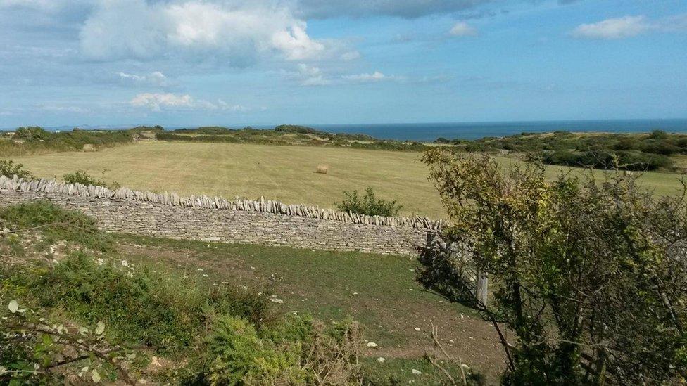 Swanage camp site