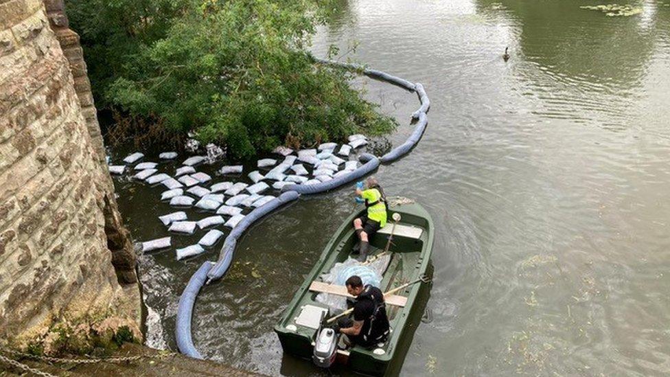 Oil spill in River Leam