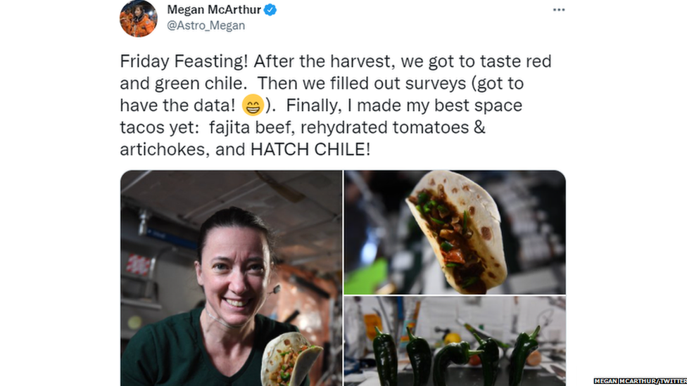 Megan McArthur tweet about chillies with pictures of them and the meal they made with them