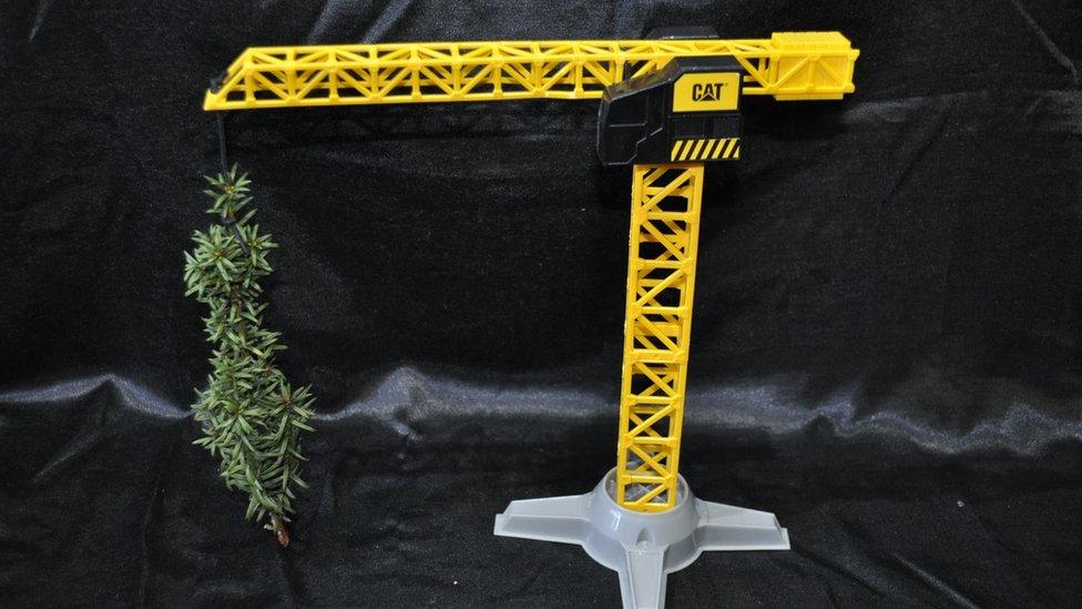 A yellow crane carrying a yew sprig