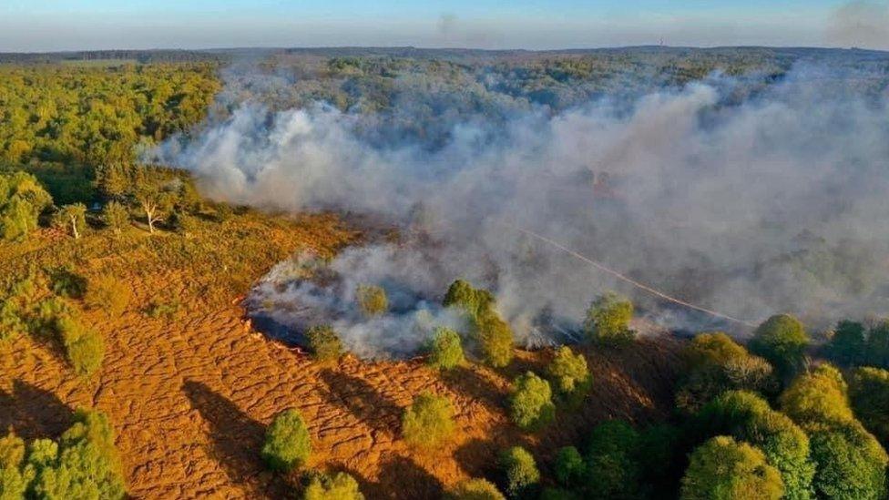 Cannock Chase fire