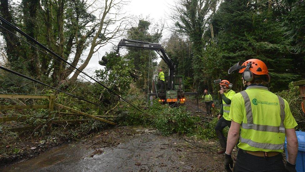 Workmen attempt to remove a tree that has fallen on to a road near Dundonald in County Down