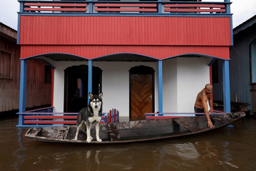 A man prepares his canoe next to his dog on a street flooded by the rising Solimoes river