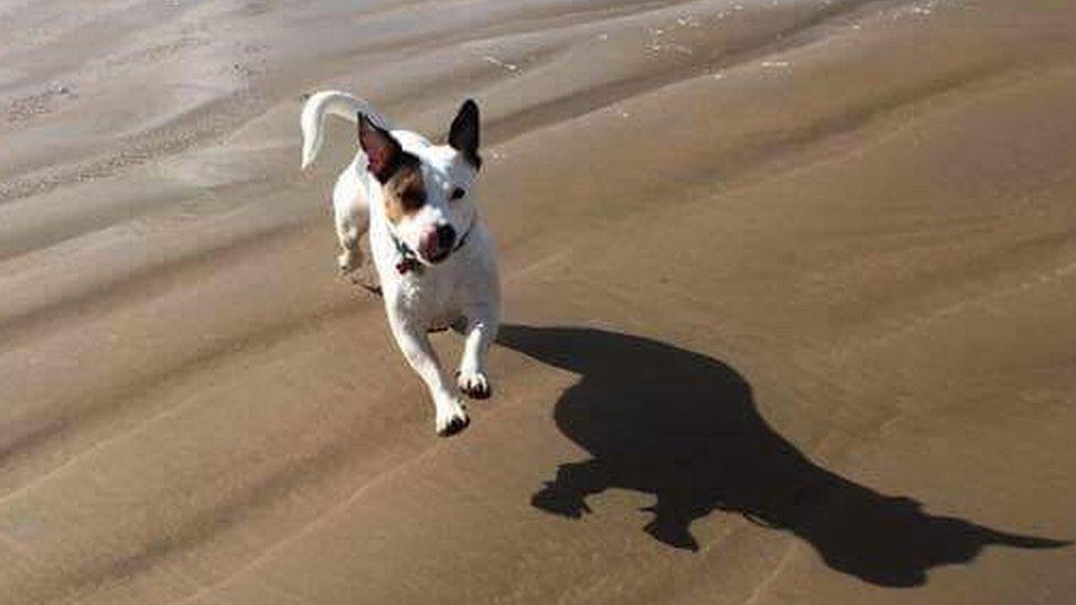 Blodwen on the beach