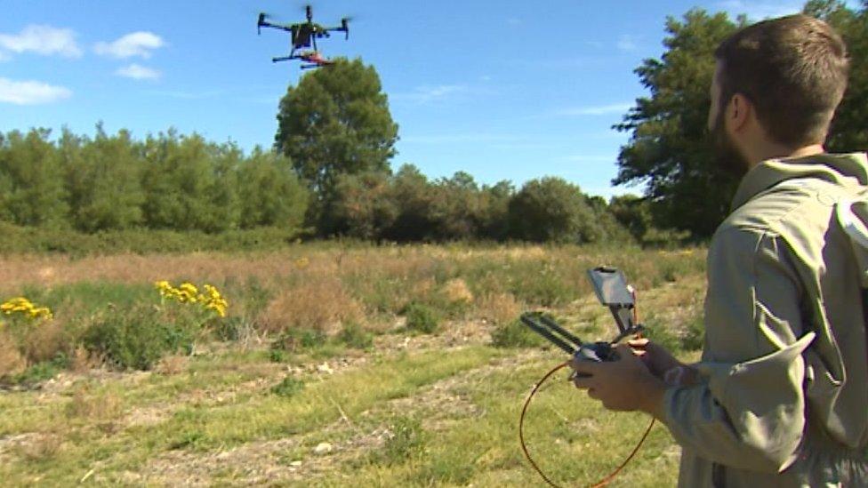 Drone in flight watched and controlled by Jake Shearwood in a field