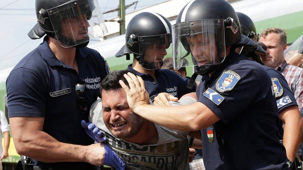 Migrant being detained at Bicske, Hungary, 3 September 2015