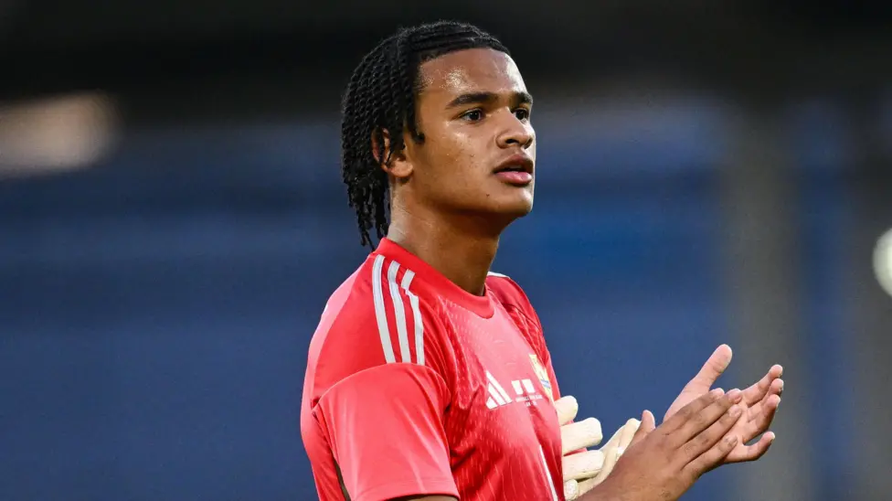 Goalkeeper Pierce Charles ruled out of NI qualifiers 