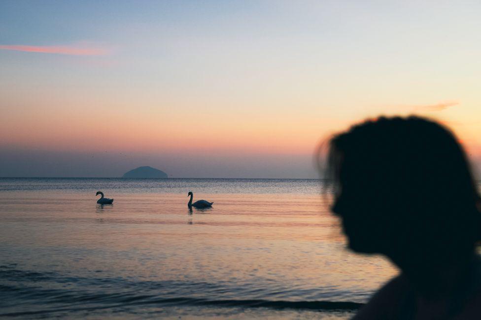 Silhouette of person in foreground with swans in the water in distance, against a sunset glow.