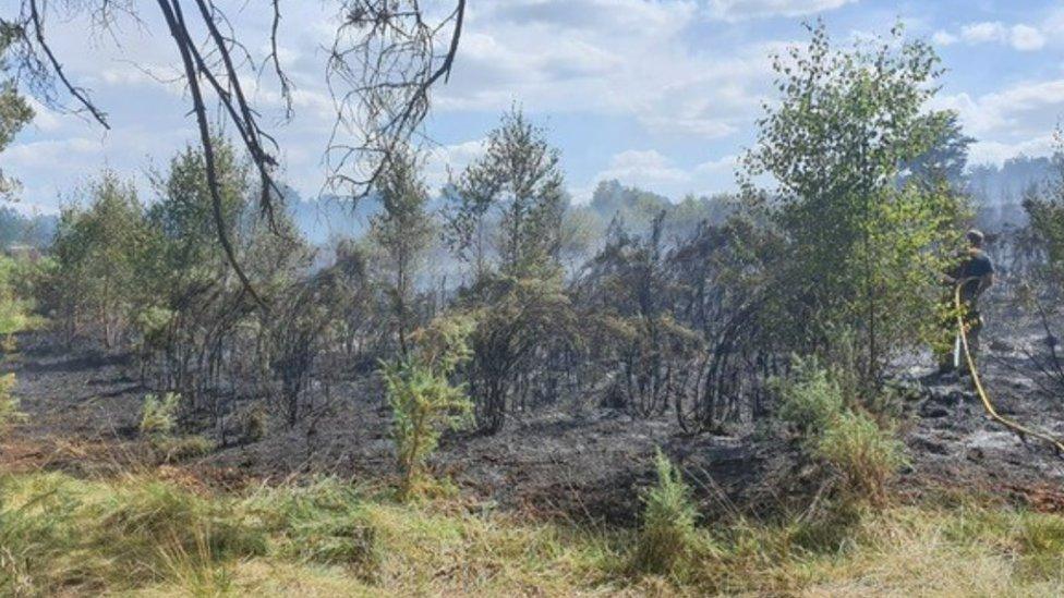 Yateley Common, Blackwater