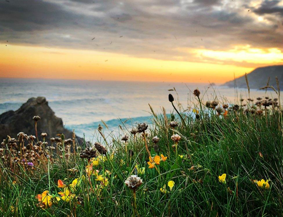 view of Cornwall sea