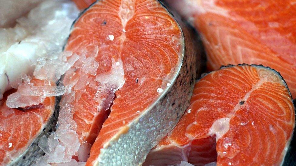 salmon steaks