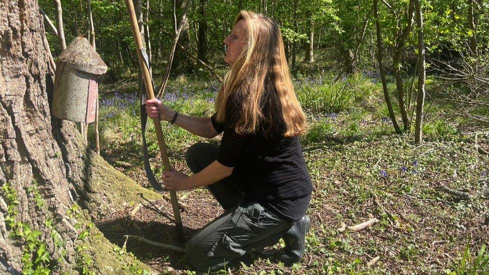 Dr Ella Cole in Wytham Wood