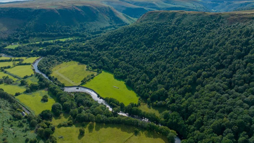 RSPB buys 'magical' 96-hectare landscape to reconnect habitats
