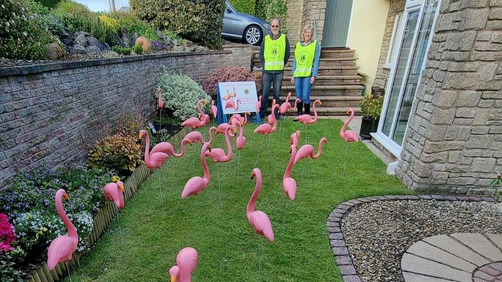 Portishead Lions Club members with their plastic flamingos