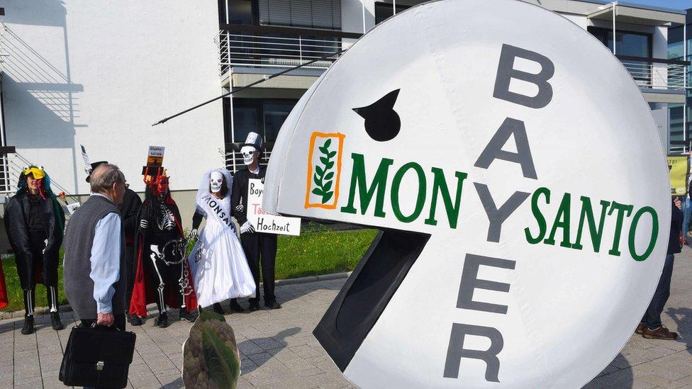 Bayer protest