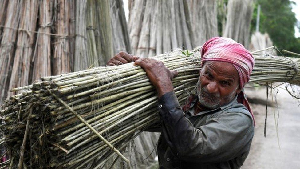 Jute farmer