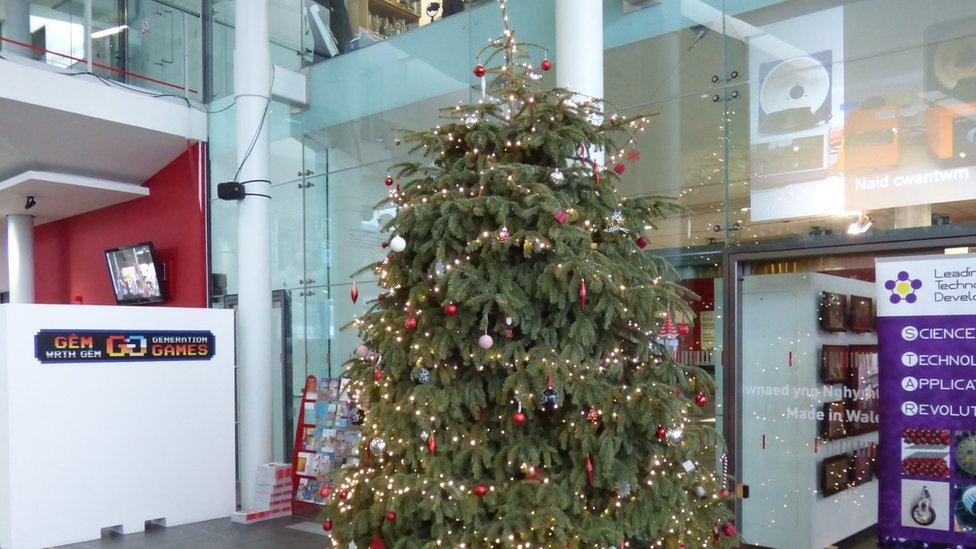 The National Waterfront Museum's tree