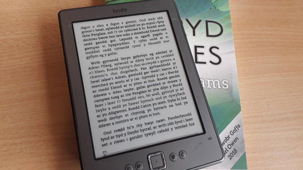 Kindle - Y Llwybr, Ysbryd yr Oes