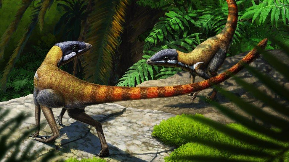 Life reconstruction of Scleromochlus (c) Gabriel Ugueto