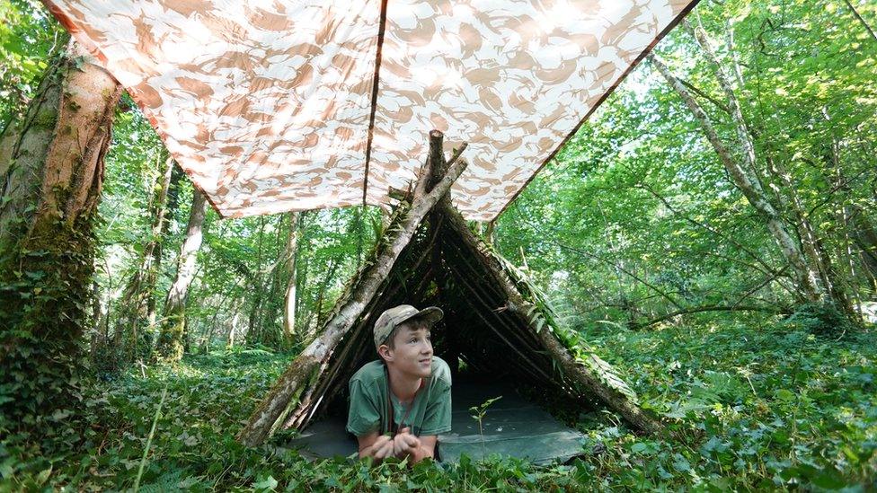 Max lies under woodland shelter and cover