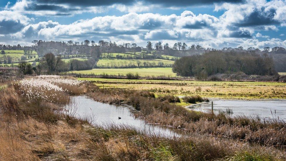 RSPB Otmoor, about four miles south of Bicester