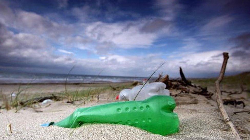 Plastic bottles washed up on a beach