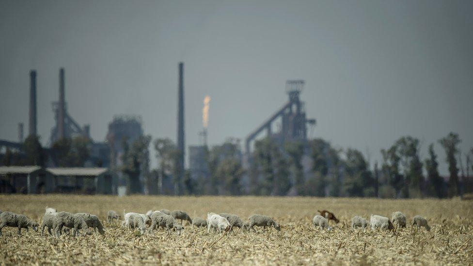 gas plant in south africa