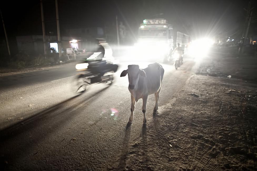 Ramgarh at night