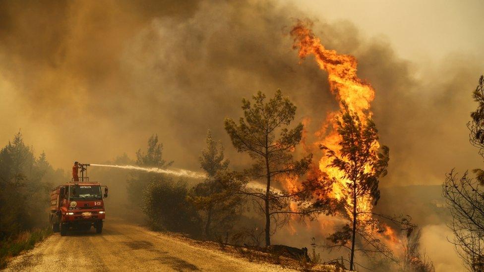 A firefighter extinguishes a forest fire near the town of Manavgat, east of the resort city of Antalya, Turkey