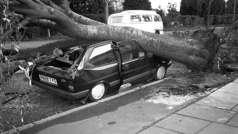 Car crushed by fallen tree in the 1987 storm