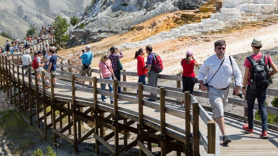 boardwalks at yellowstone