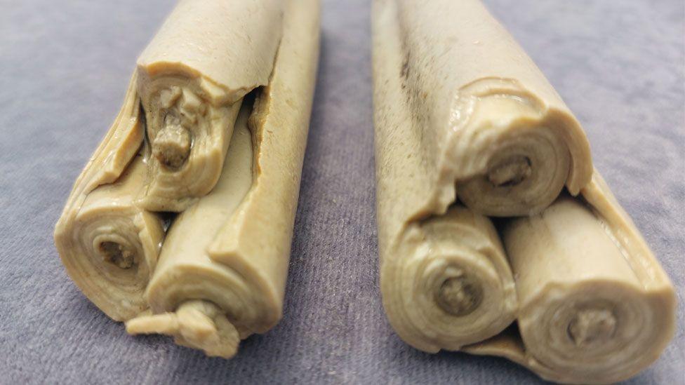 Two 17th Century animal fat candles with their ends towards the viewer. They are a dirty dull yellow cream in colour. Each one appears to be made from three rolled up sheets of wax, each around a wick, encased in another sheet of wax, enclosing all three inner rolls.