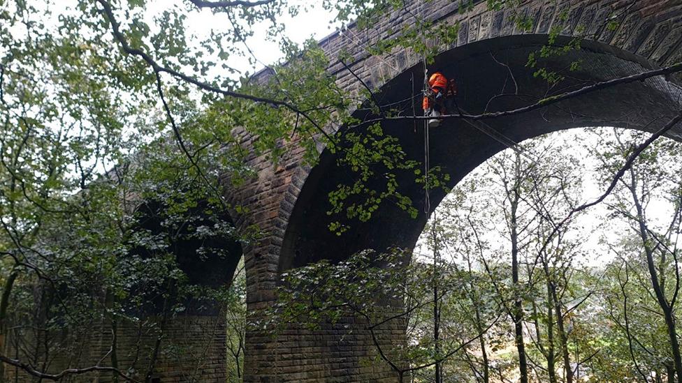 Bat survey at the viaduct